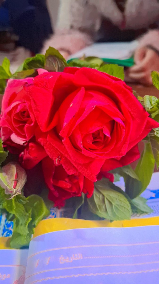 Nosa Mohamed tweet media