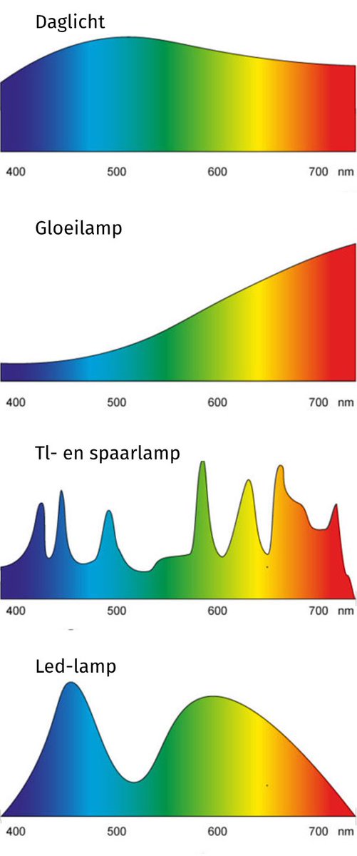 _SimpleLight tweet picture