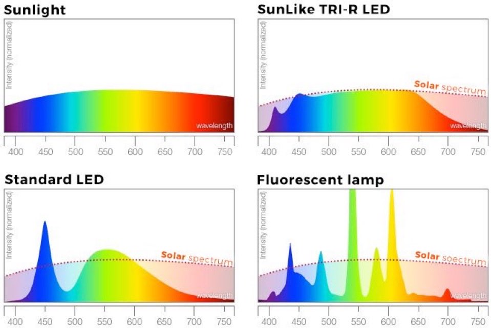 _SimpleLight tweet picture