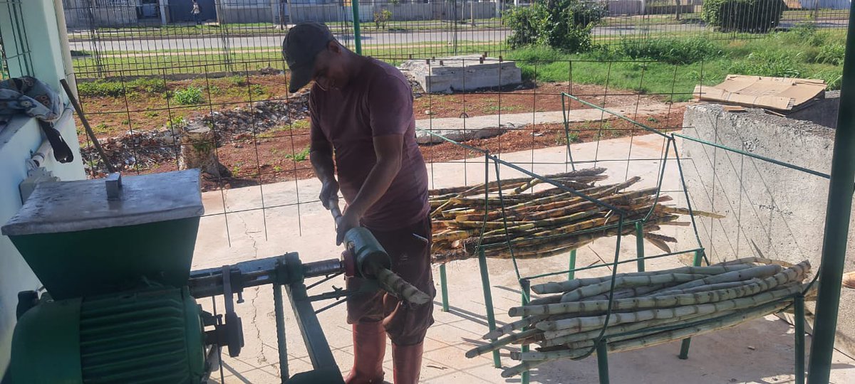 edua_acosta93's tweet image. 🍹 En áreas del Hospital de #Artemisa quedó inaugurado un punto de venta de guarapo, bajo la conducción de un Proyecto de Desarrollo Local.  Una iniciativa que fortalece servicios, impulsa la economía  y mejora la atención a nuestra población. #LaPatriaSeDefiende ✌️🇨🇺