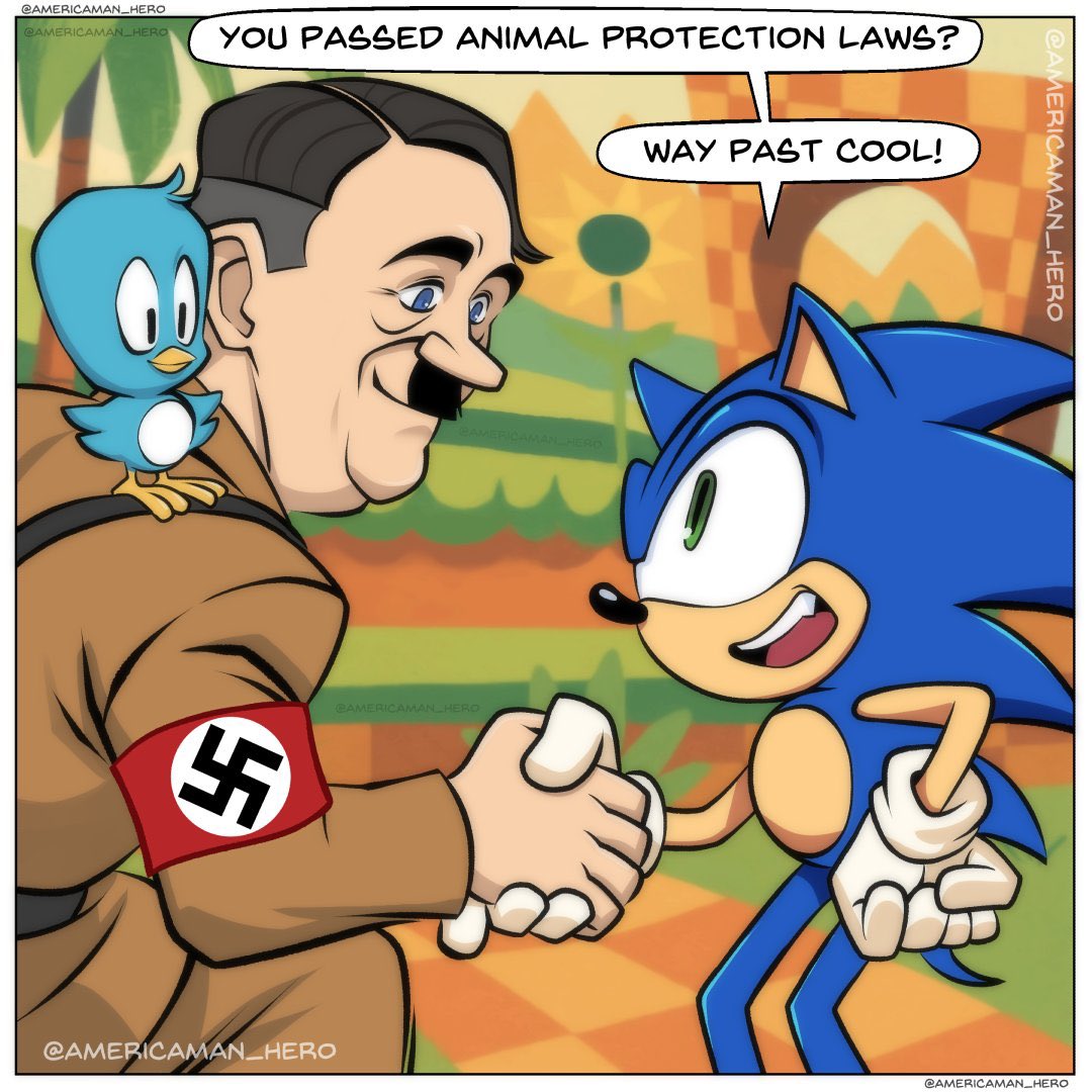 SonicFanAsshole tweet media