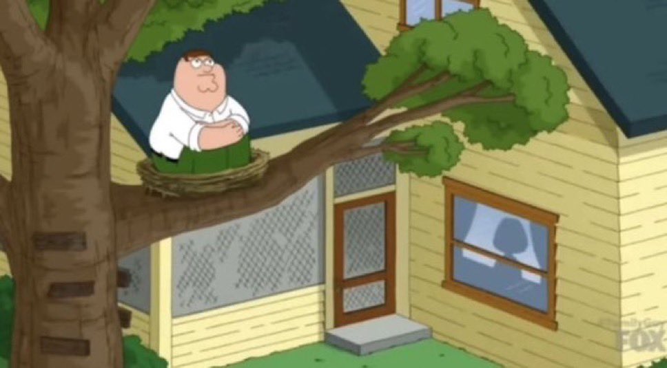 Михаил tweet media