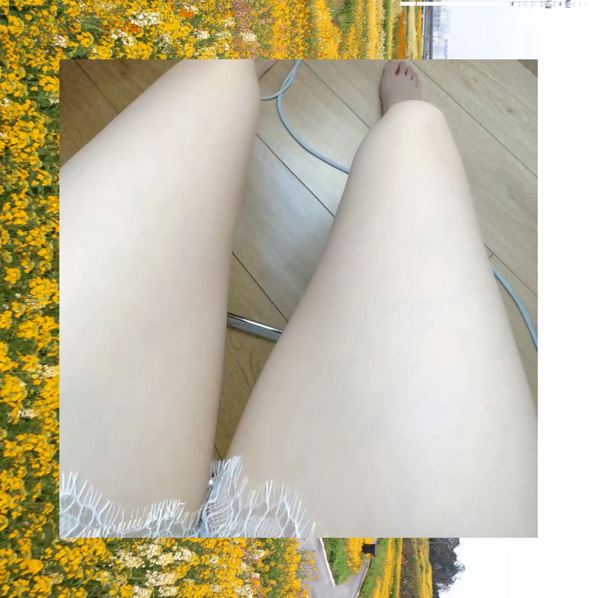 Amber Mitchell tweet media