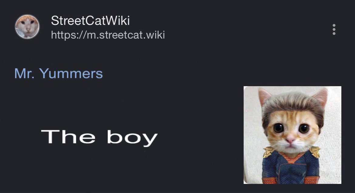 Auntie Hal ✝️ #1 nurturer | THE BOYS s5 spoilers tweet media