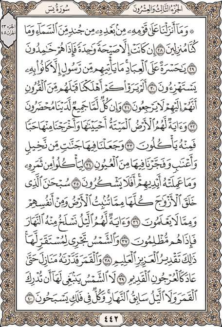 🦋 Khawla khawla 🦋 tweet media