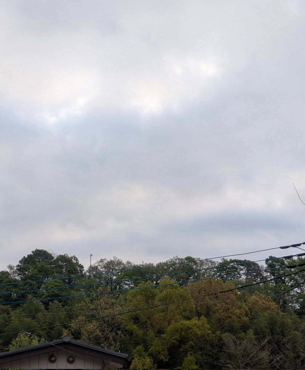 ともみん tweet media