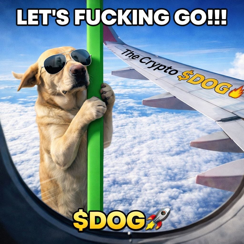 Yagammee 👾 tweet media