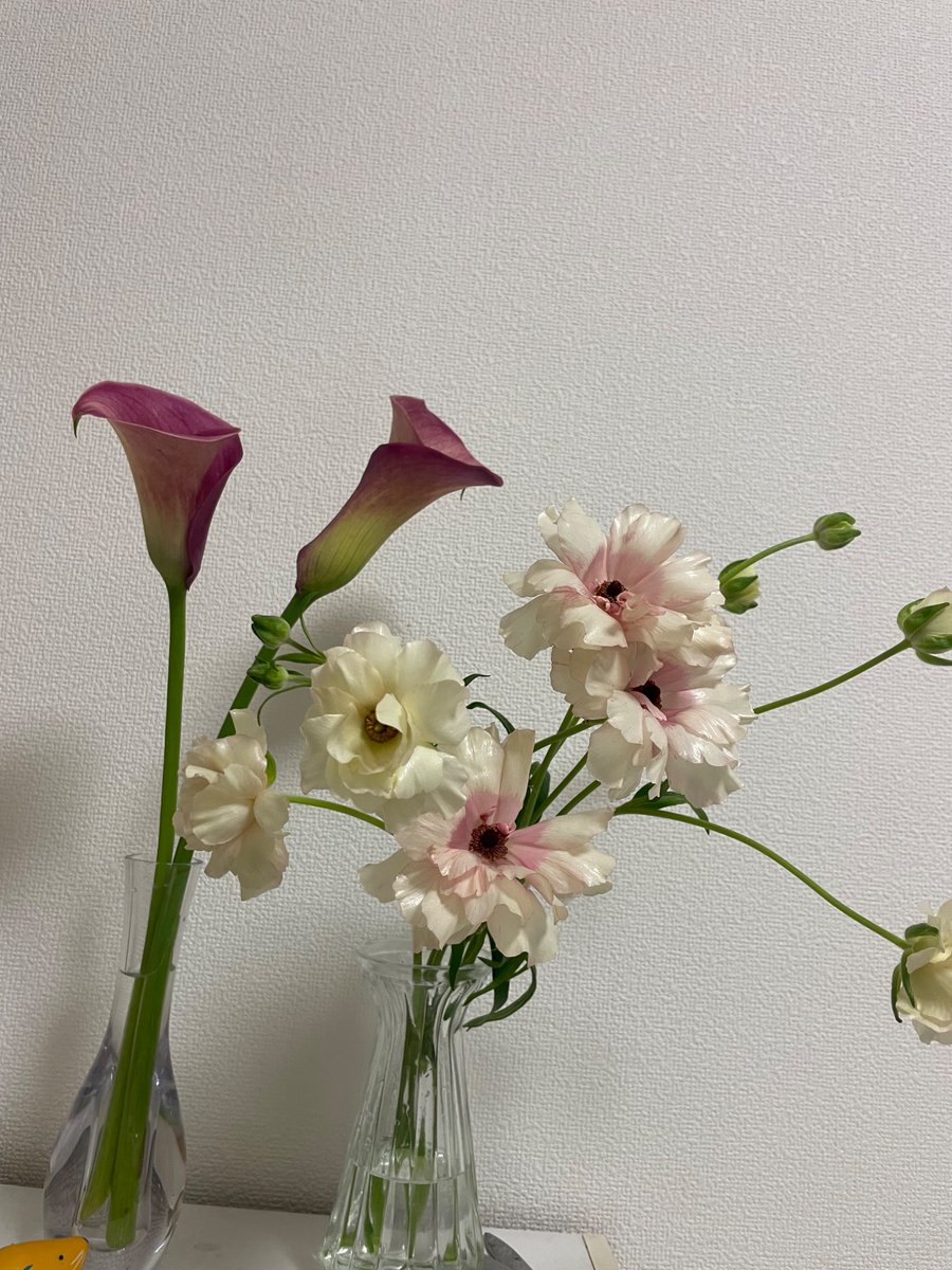 永友春菜 tweet media