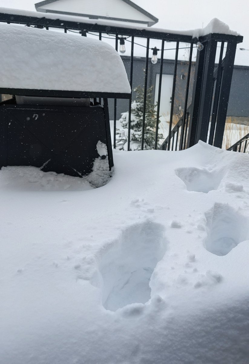 Jo Madden tweet media