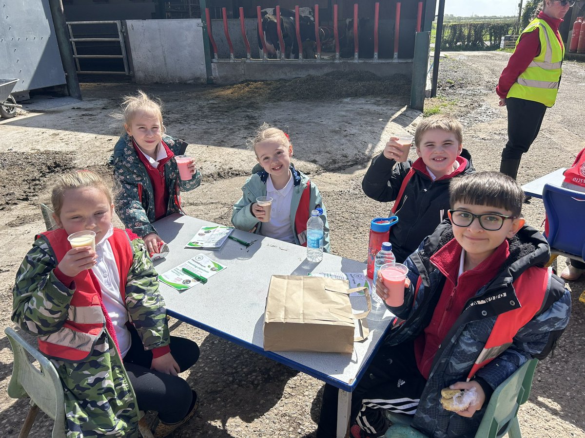 kincraigY3's tweet image. We loved our visit to Fernhill Farm. We especially enjoyed tasting the milkshake 🐄 #geography #fernhillfarm #outdoorlearning