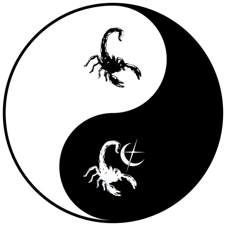 YIN-YANG style DND