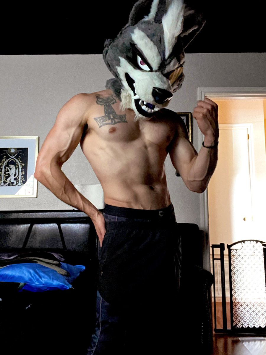𝖂𝖔𝖑𝖋𝕭𝖔𝖓𝖊 🐺 🏰 🗡 tweet media