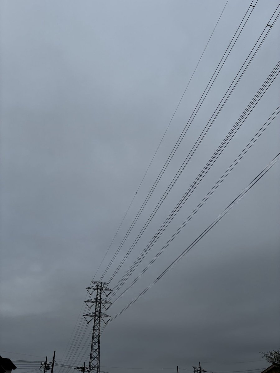 ツチ店長 【公式】 tweet media