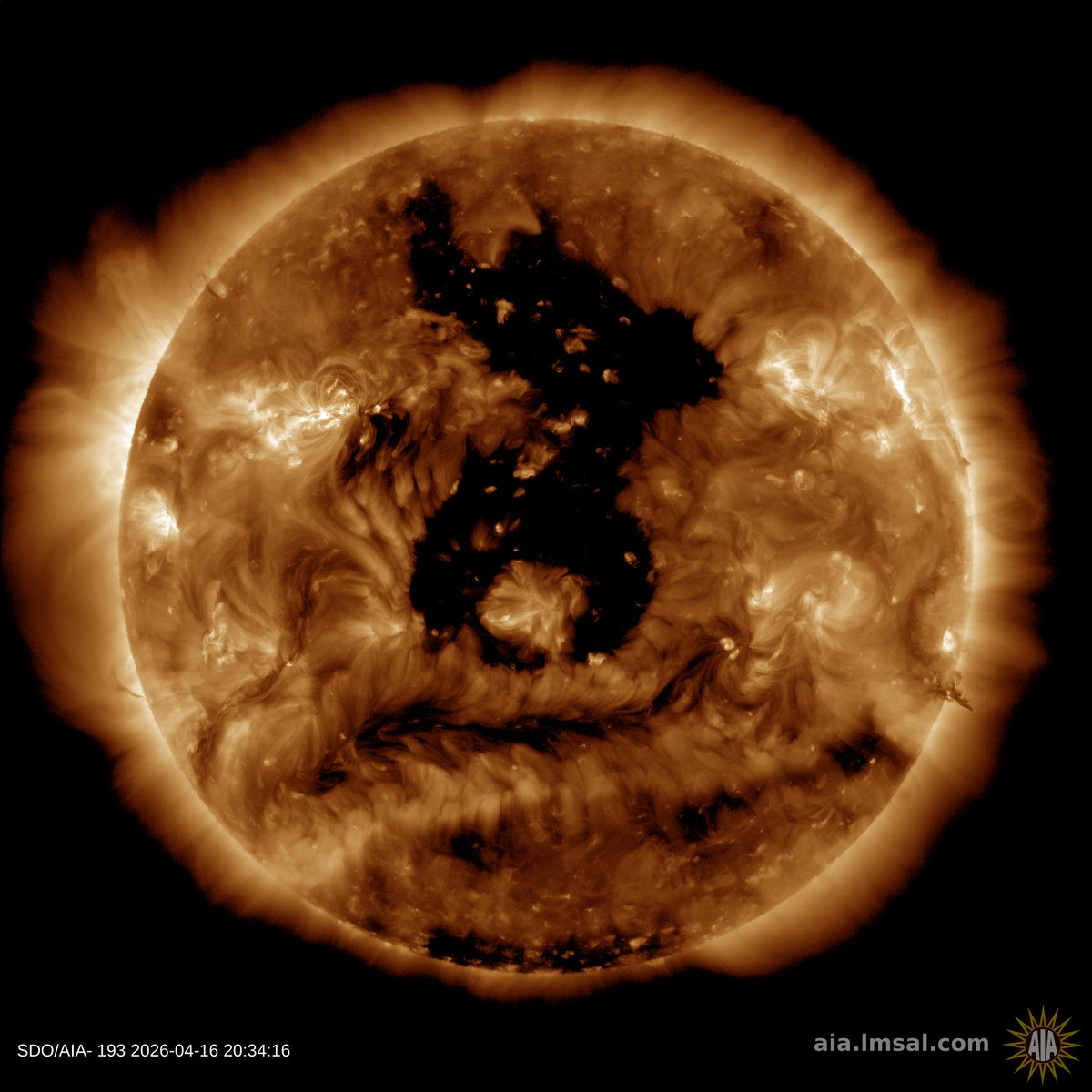 Stefan Burns tweet media