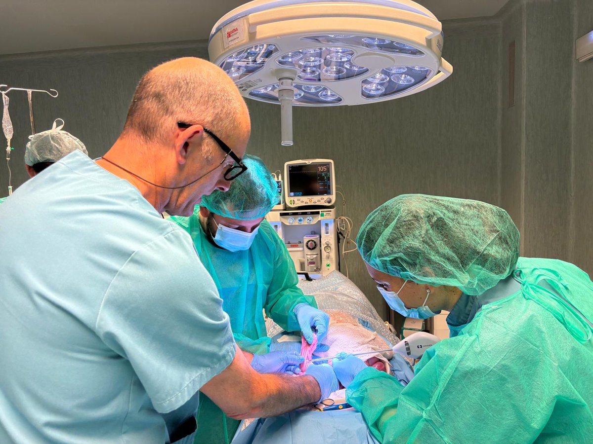 Quique_ChC's tweet photo. 7 editions, 50+ gynaecologists trained, and one shared goal: improving care for our patients. Proud to see how Dr Luis Chiva’s dream of building a surgical anatomy school at @ClinicaNavarra has become a reality. Onwards to 10 years! https://t.co/0T549QPJ06