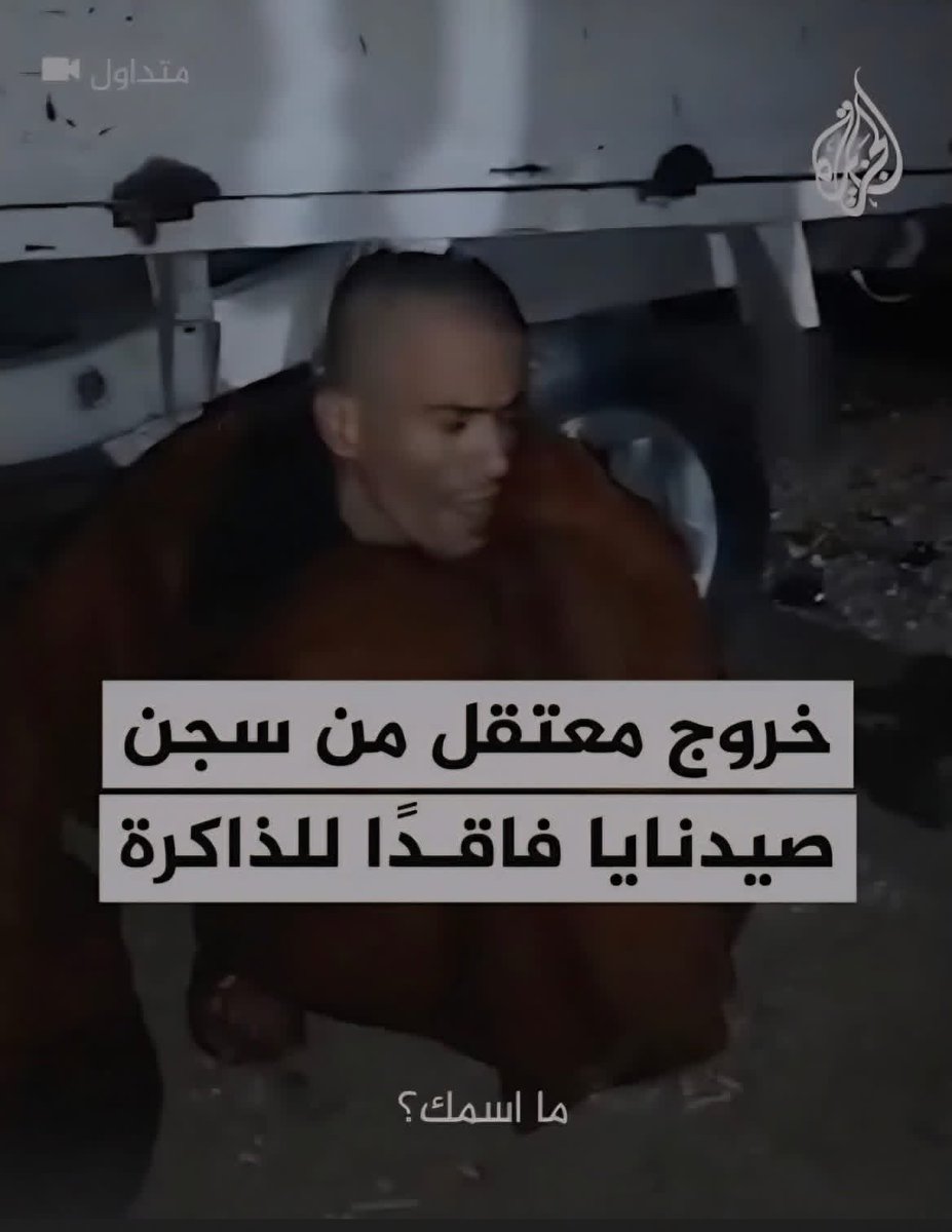 يارا حمدان tweet media