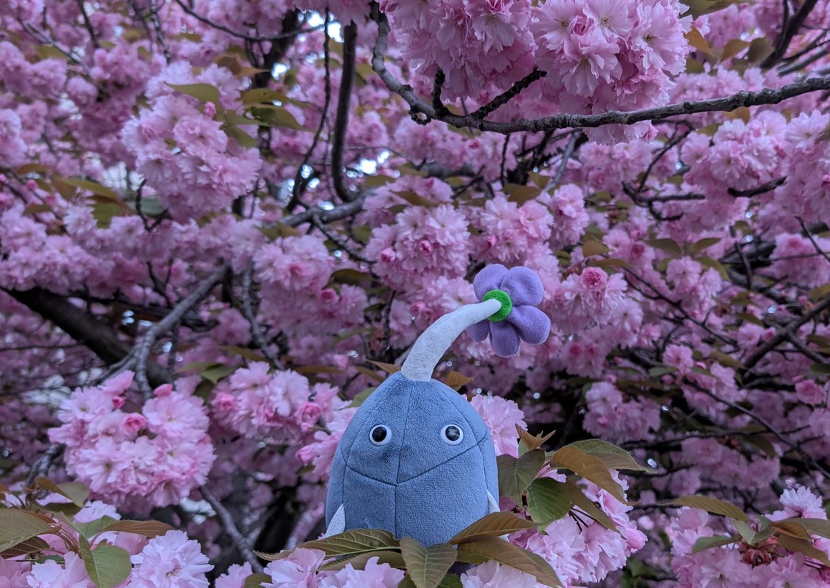 _Nullip_'s tweet photo. Hello everyone ❤️
I'm still kinda exhausted from everything 😭
I'm probably a little quieter this weekend ❤️ trying to look out for myself.
If 10 fairies donated 30€ I would be able to cover the rest!
Really any donation counts ❤️
https://t.co/YrwR1wc8SX https://t.co/nVxeEmGrxe