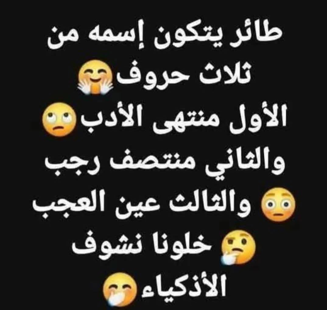 نجلاء tweet media