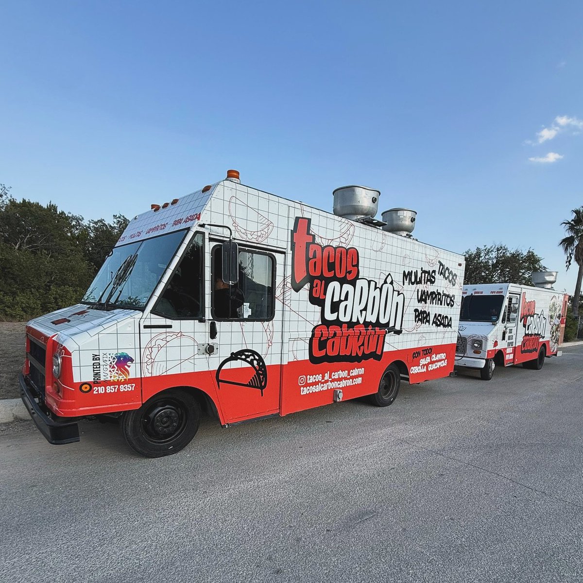 Viva Science SA tweet media