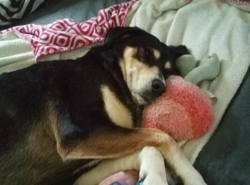 🔮☽𖤐☾StacytheWitch☽𖤐☾🔮 tweet media