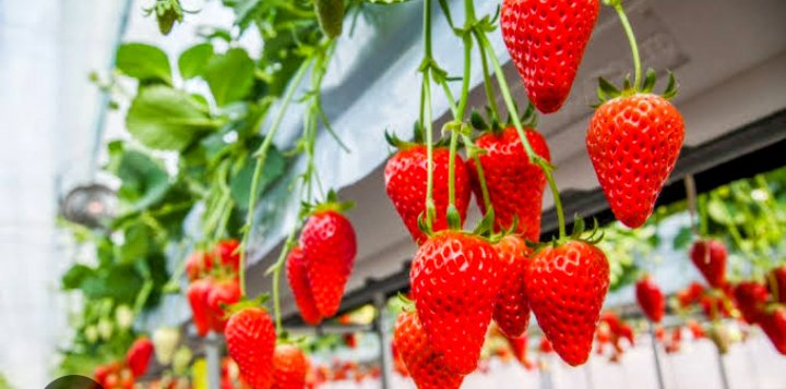 ガッキー tweet media