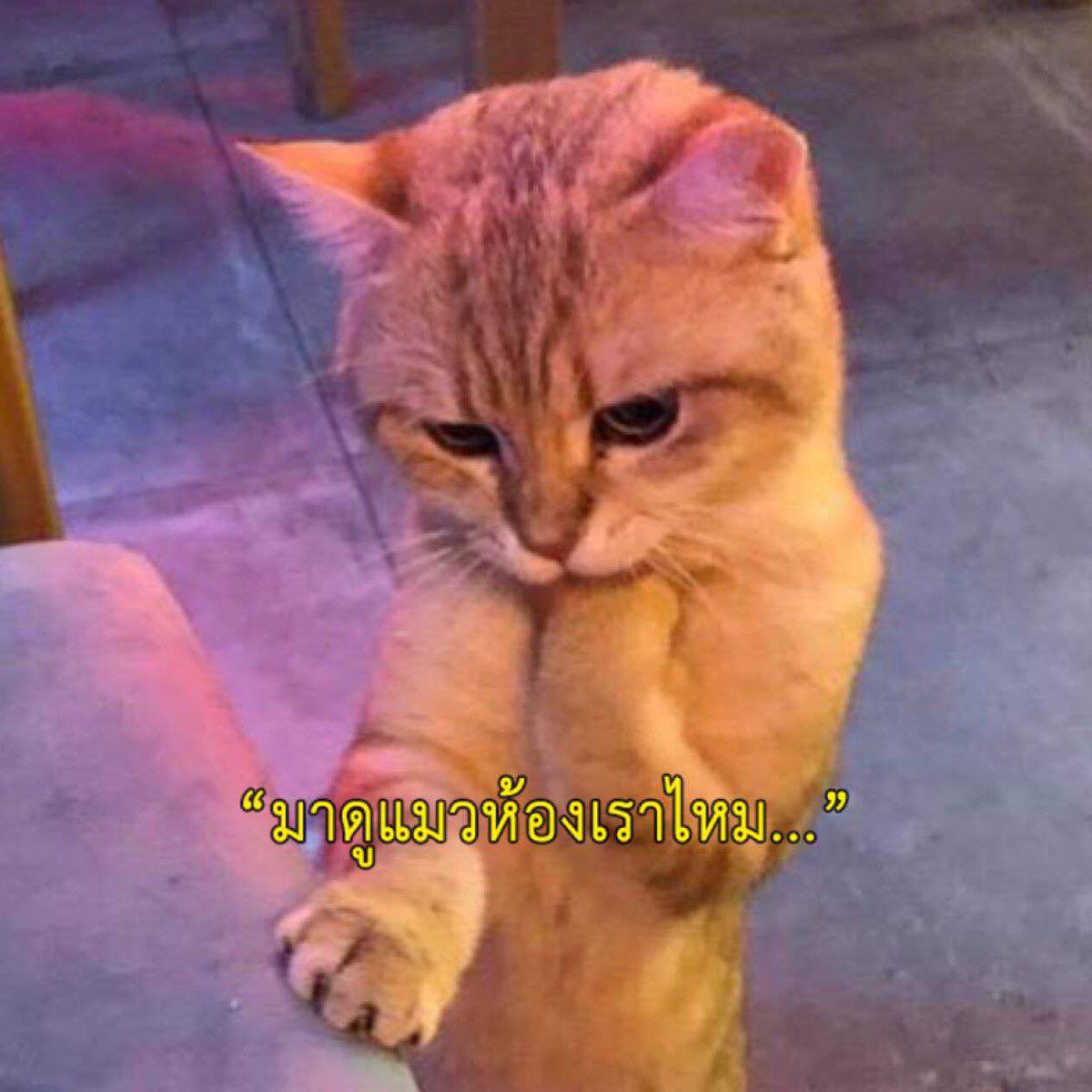 Youngrum CB tweet media