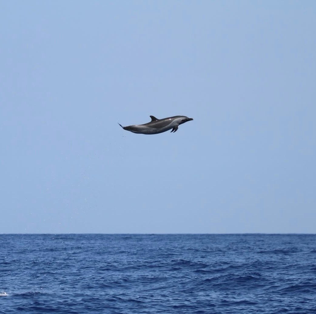 بحر 🌊 tweet media