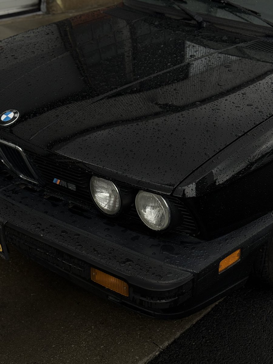 austin.sf tweet media