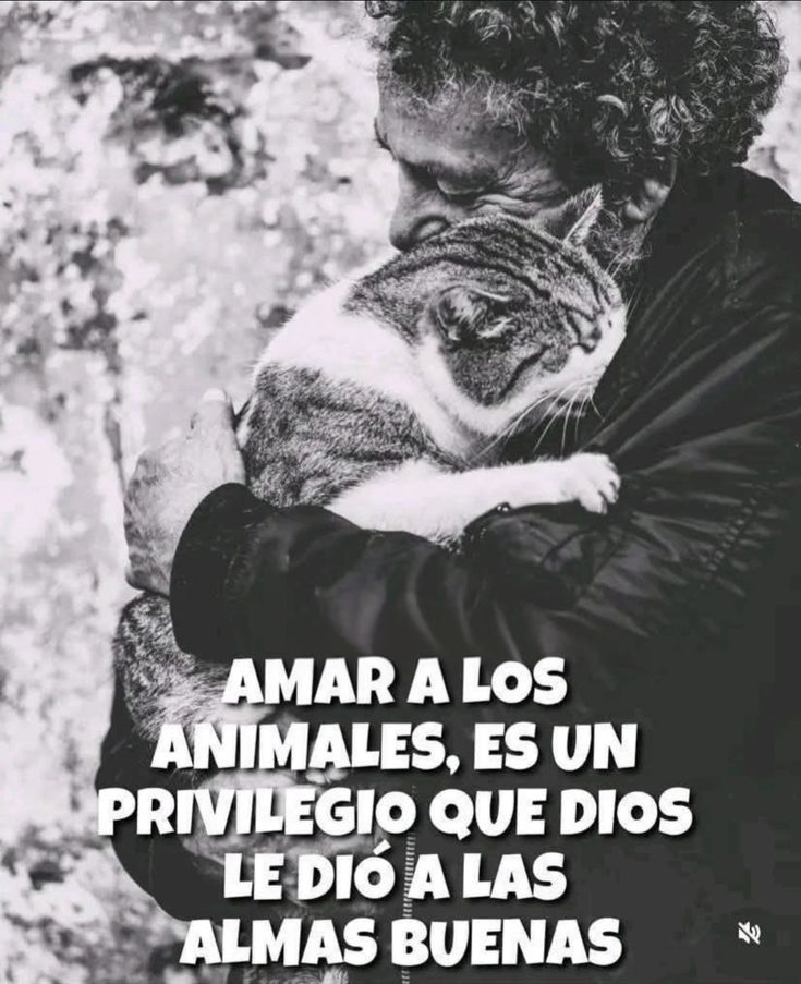 Max 🇦🇷 tweet media