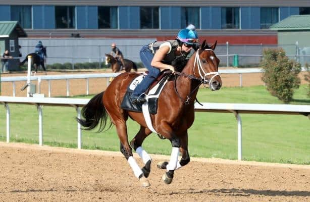 Horse Racing Nation tweet media