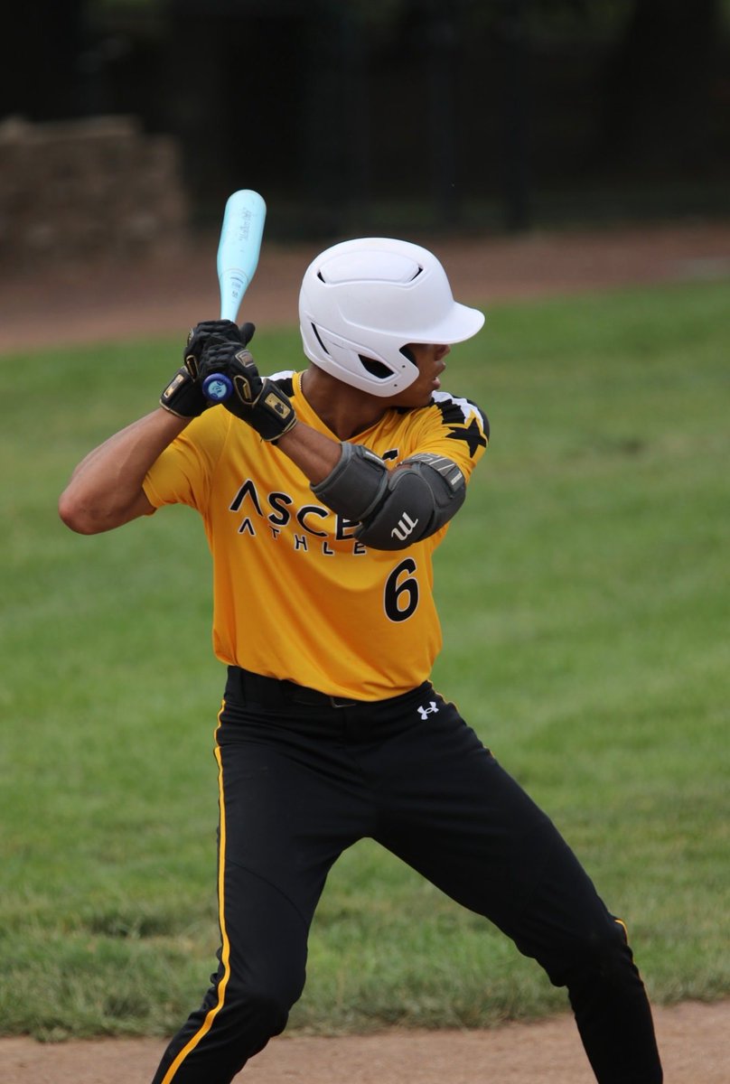 Penn State Harrisburg Baseball tweet media