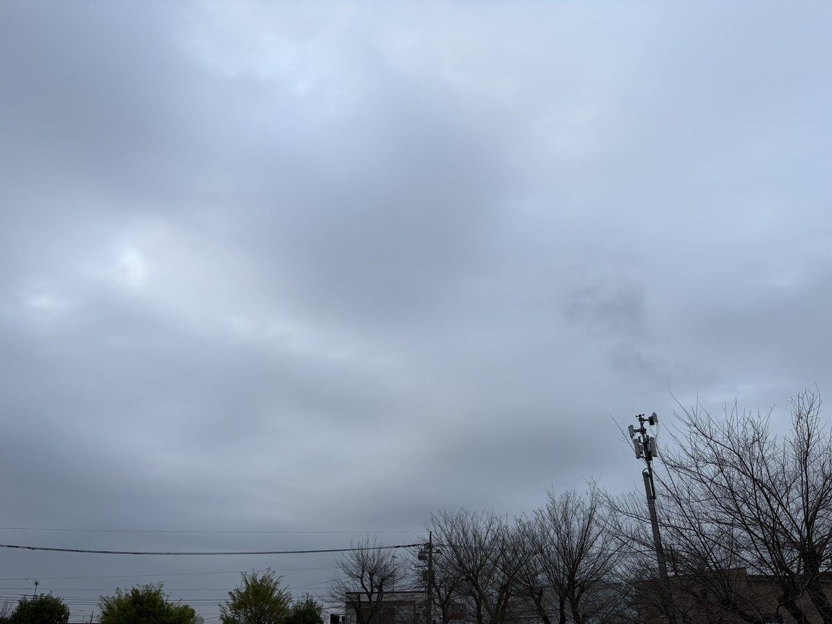 ラムネ tweet media