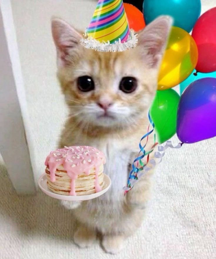 miss lively tweet media