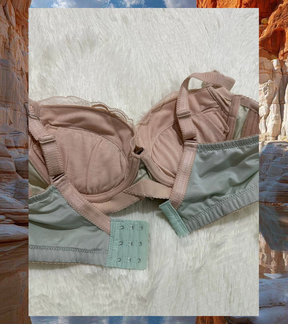 Bryan Beck tweet media