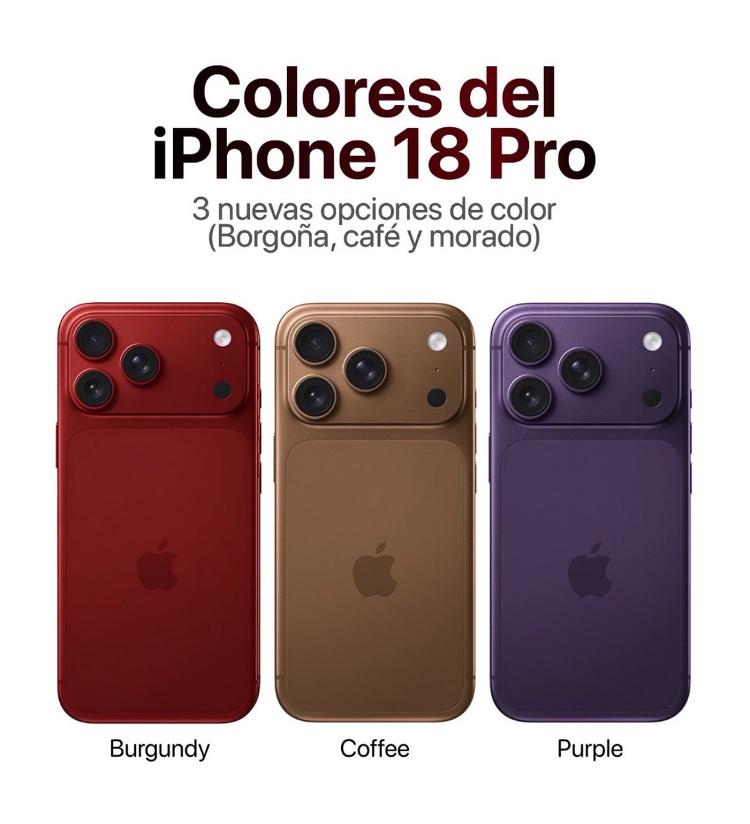 مَيساء | Miysa tweet media