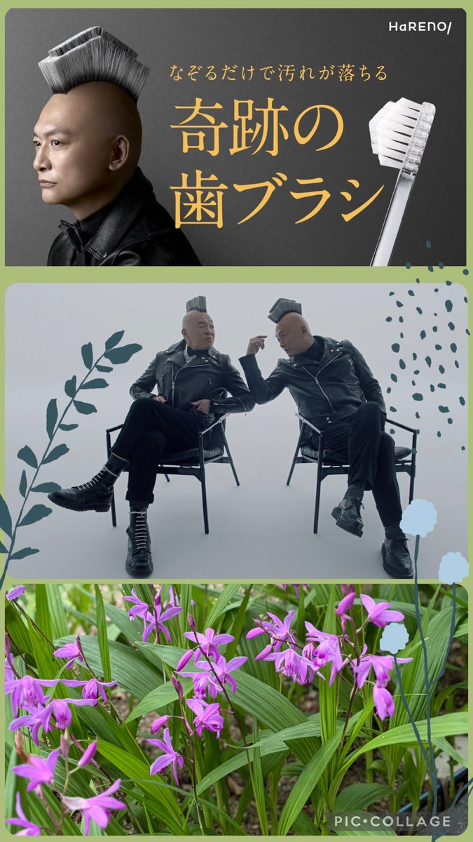 こうちゃん tweet media