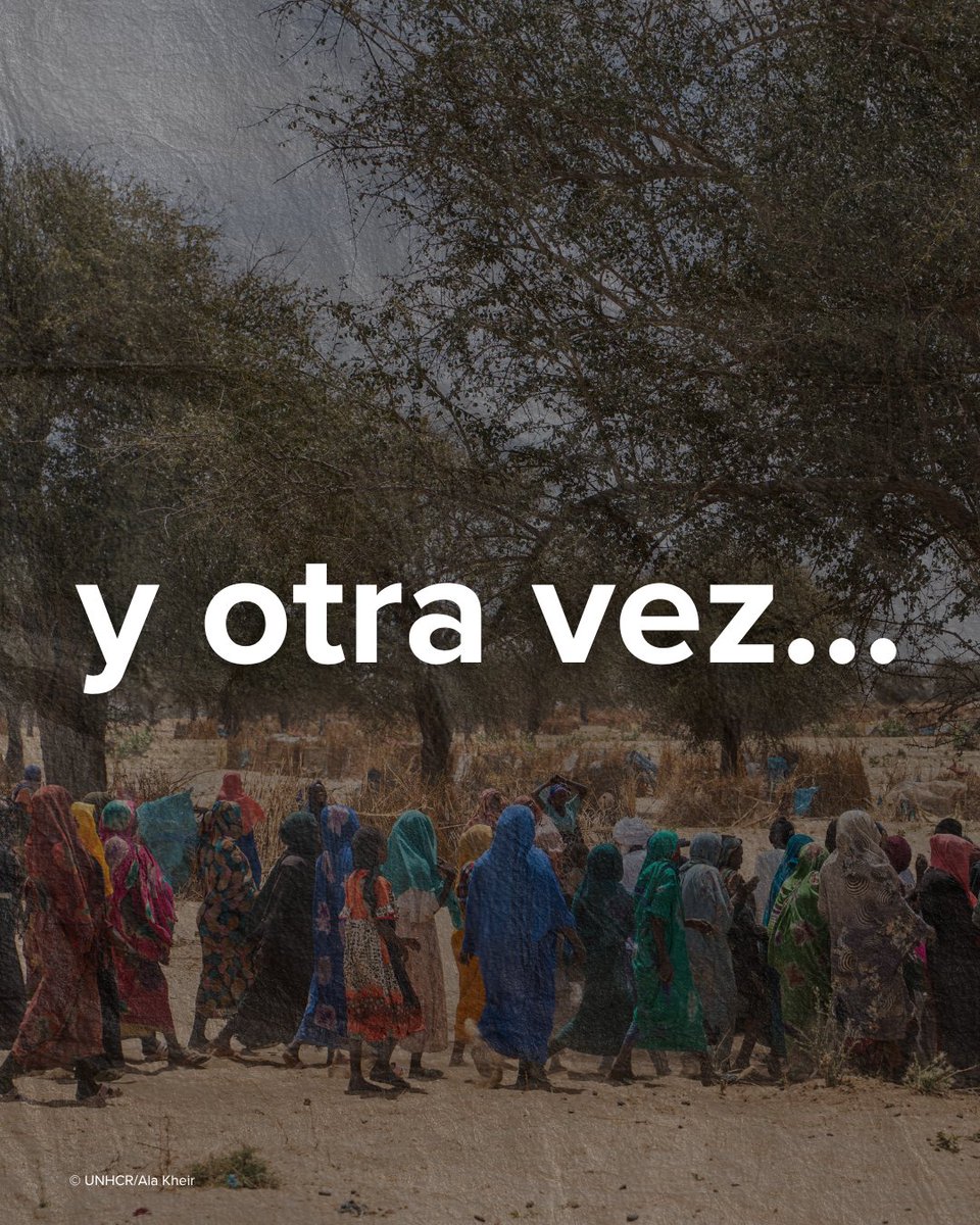 Naciones Unidas tweet media