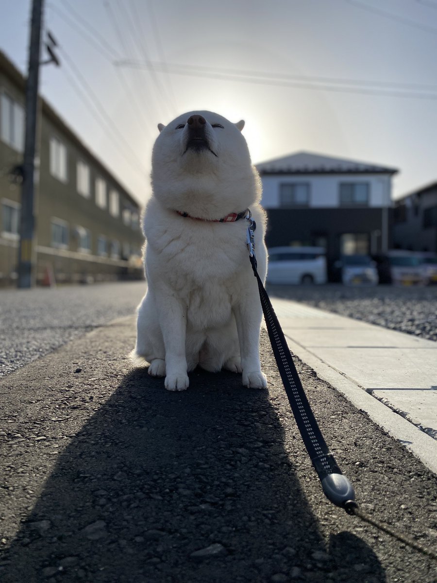 釜石製綿 tweet media