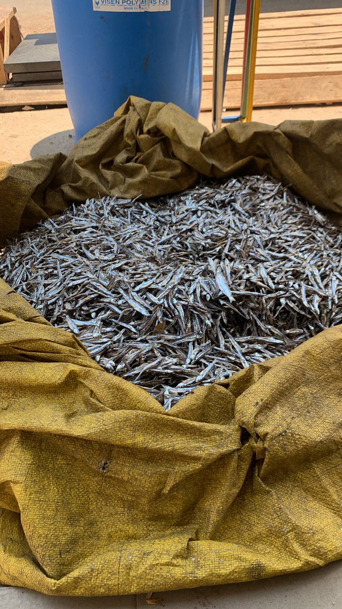 BLACK IS COLOUR🫡 tweet media