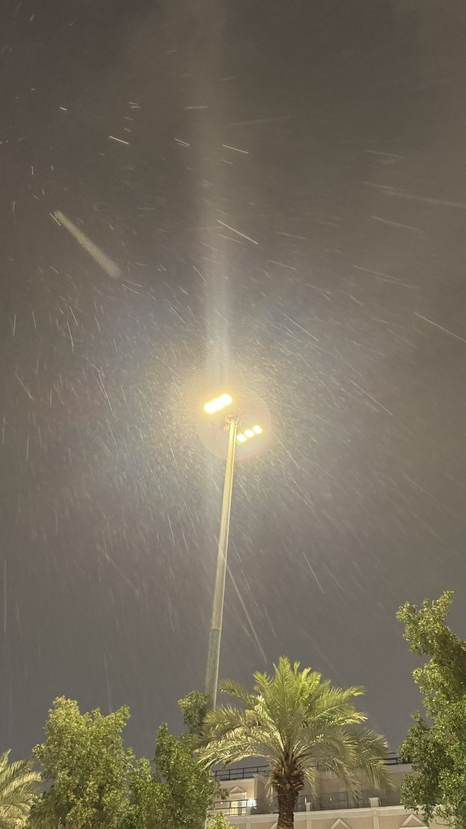 هجّاج tweet media