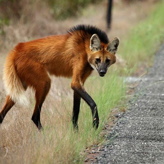 𝕎𝔸𝕂𝔼ℕ𝔸 𝔹𝔸ℝÉ🏹🌞 tweet media