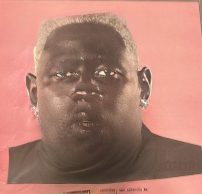 runnin' out of thyme
runnin' out of thyme
runnin' out of thyme
(...)
runnin' out of thyyyme
to make my dinner