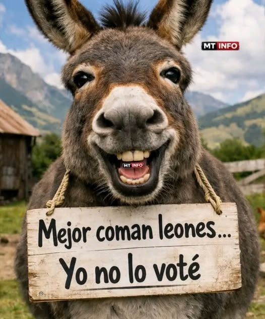 marcesound's tweet photo. Ante la noticia del consumo de Carne de Burro, La Asociaciòn de Burros Argentinos Expresa... https://t.co/F2eGwSy90R