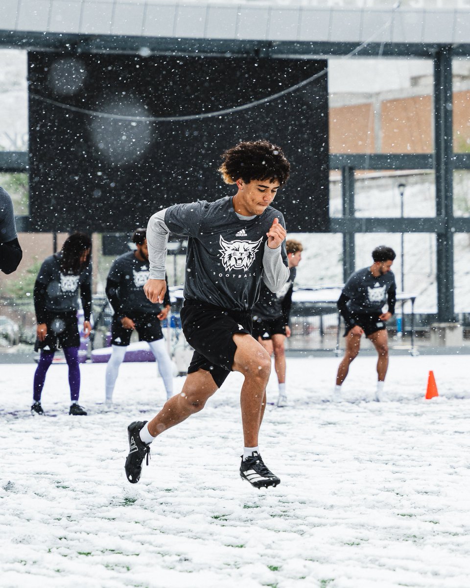 Weber State Football tweet media