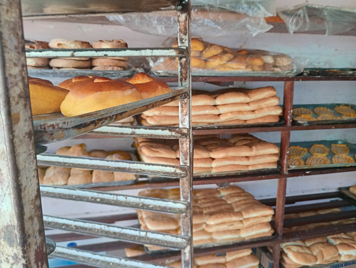 ALEXANDRA tweet media