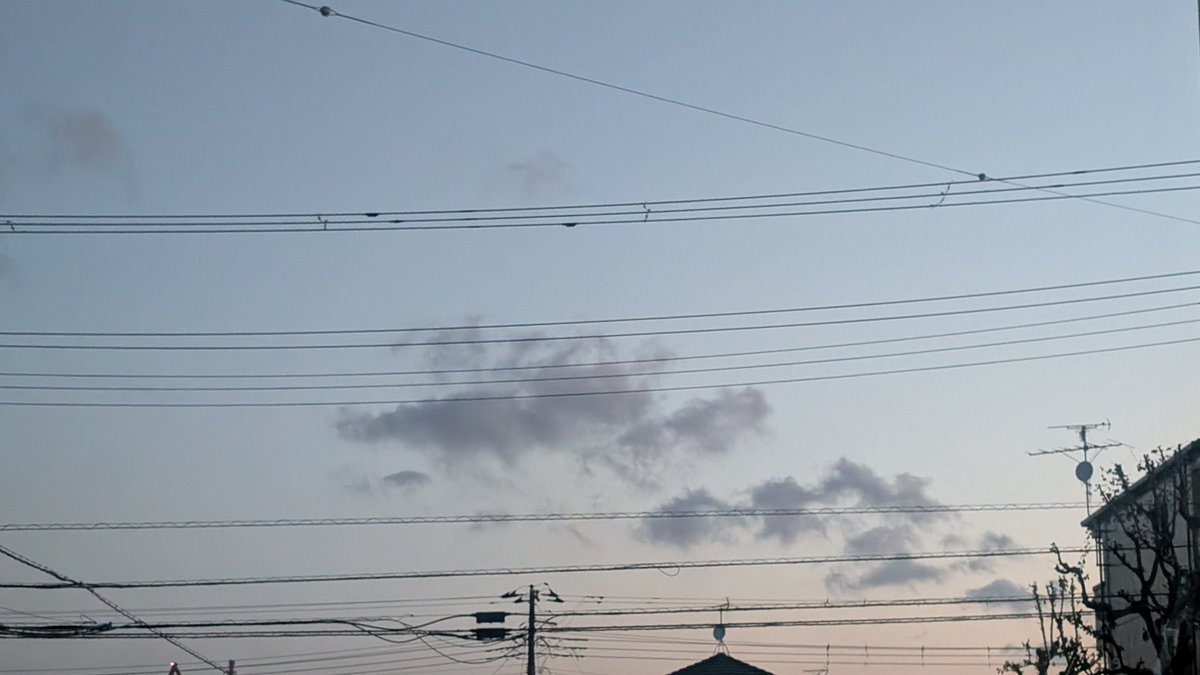 飯テロ部長タッチャンLOVE&Justice tweet media