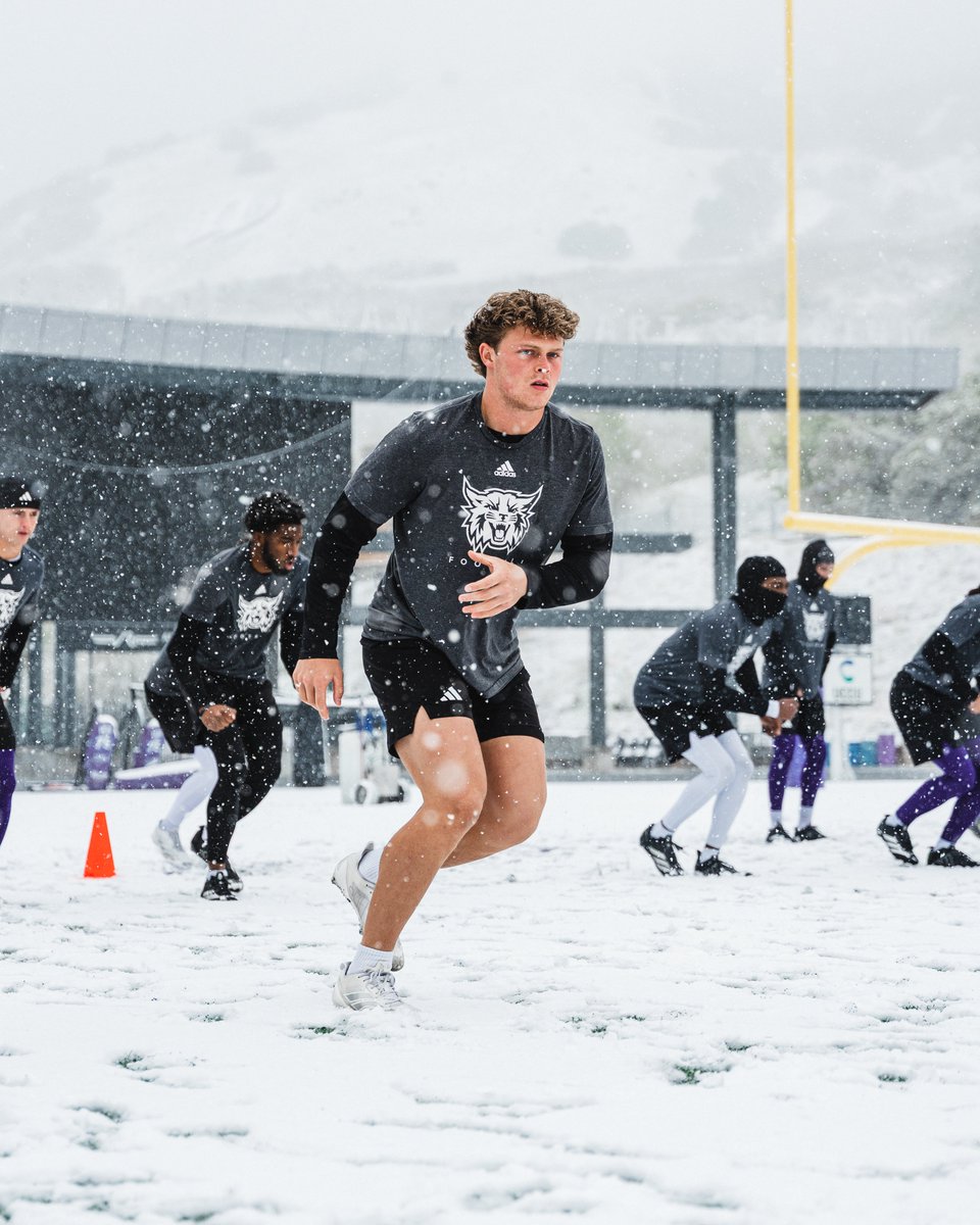 Weber State Football tweet media