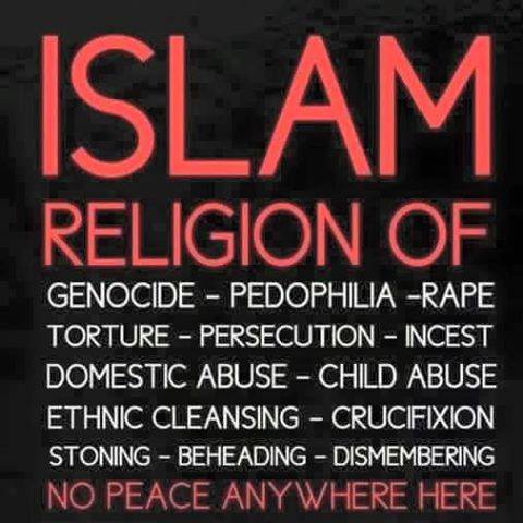 Shirley Costantino tweet media