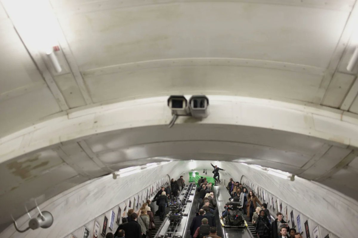 Alice Dryden tweet media