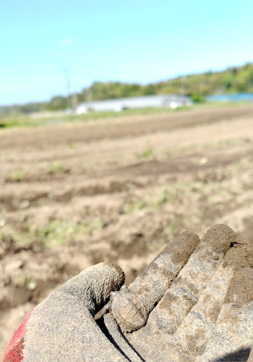 farmあき（おる🧸） tweet media